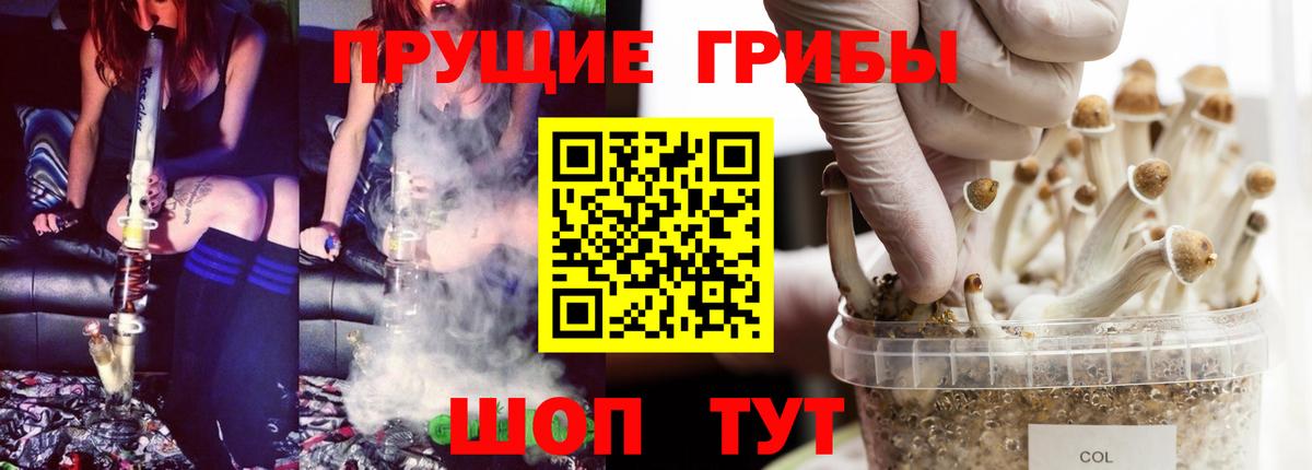 Псилоцибиновые грибы мухоморы Урай